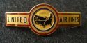 Flight Attendant Insignia Wings