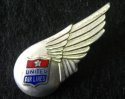 Flight Attendant Insignia Wings