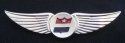 Flight Attendant Insignia Wings