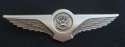 Flight Attendant Insignia Wings