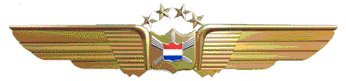 United pilot wings with four stars